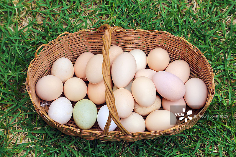 天然鸡蛋图片素材