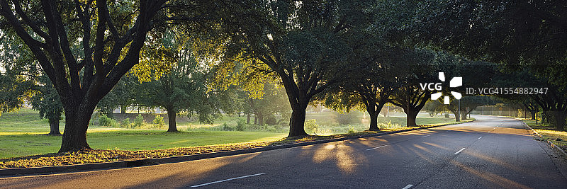 杰克逊市中心附近的街道日出景色图片素材
