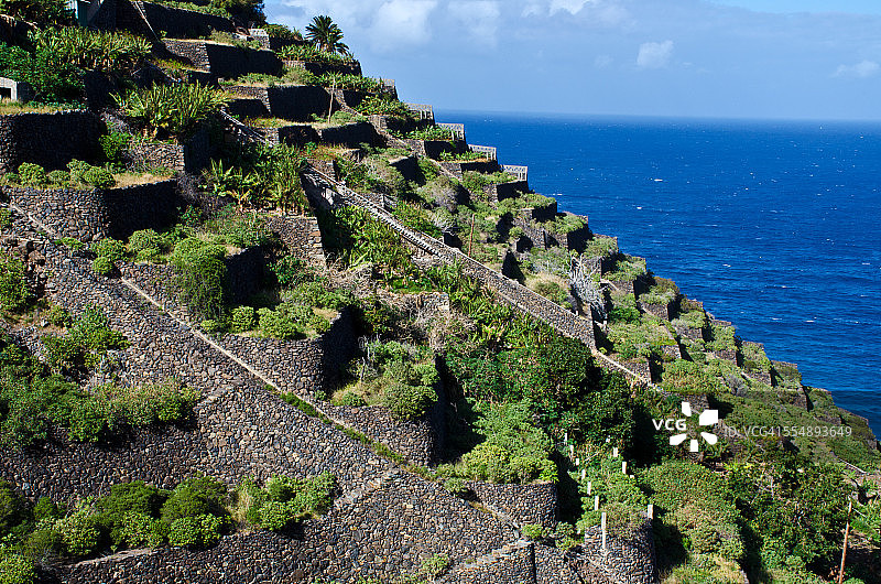 拉戈梅拉岛旧香蕉种植园梯田图片素材