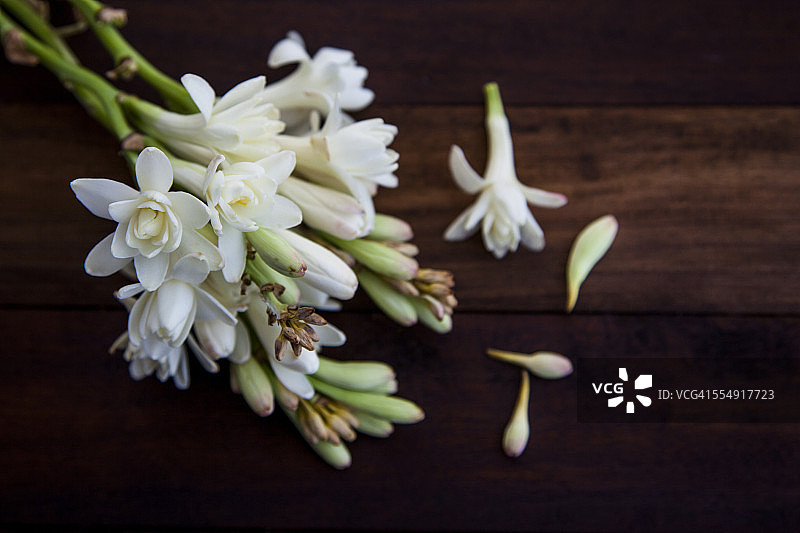 晚香玉花束图片素材