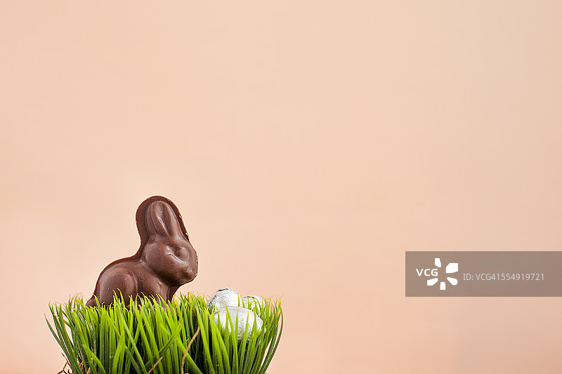 草丛中带有彩蛋的巧克力复活节兔子图片素材