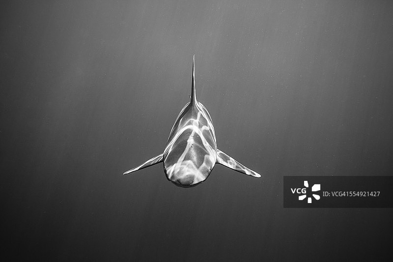 面对面图片素材