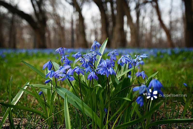 本月最佳图片素材