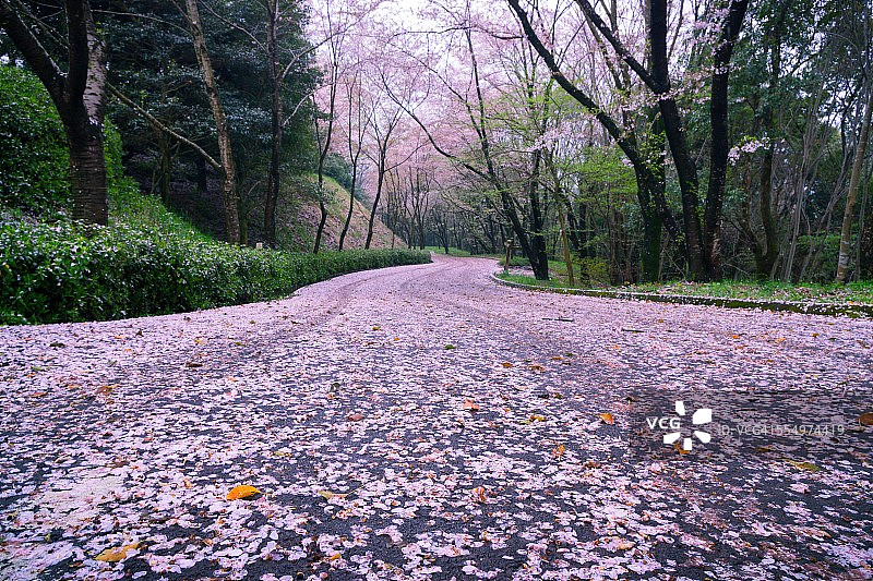 史诗般的风景图片素材