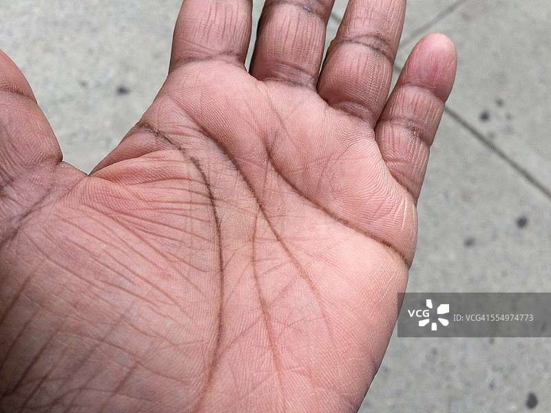 棕榈皱纹图片素材