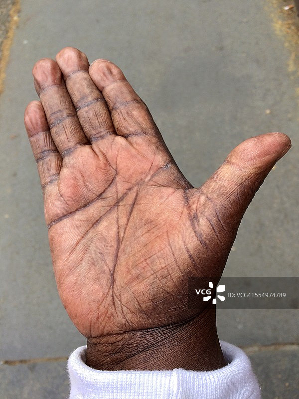 棕榈皱纹图片素材