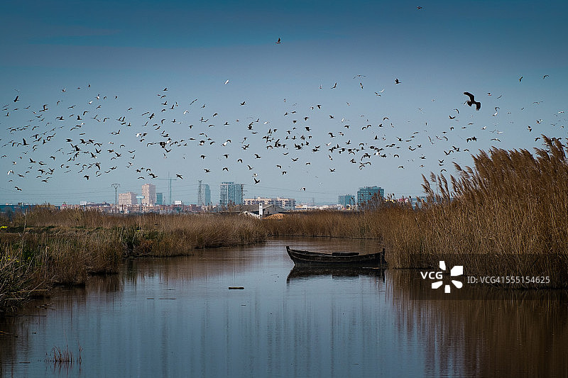 瓦伦西亚阿尔布费拉的船上鸟儿图片素材