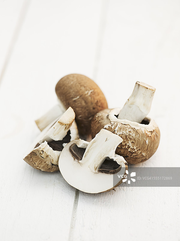 白色背景上的蘑菇图片素材