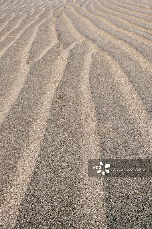 美国俄勒冈州圣诞谷沙丘波纹沙子特写图片素材