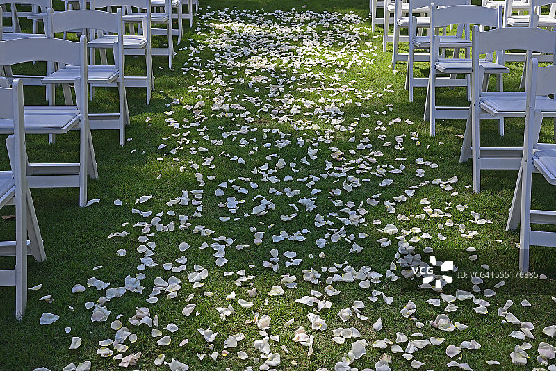 美国佐治亚州亚特兰大：婚礼仪式用的绿色草坪上的花瓣，两侧有椅子，对称图像图片素材