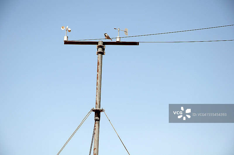 约旦佩特拉的电线和鸟类图片素材