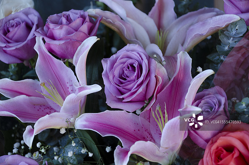 洛杉矶鲜花市场的鲜花图片素材