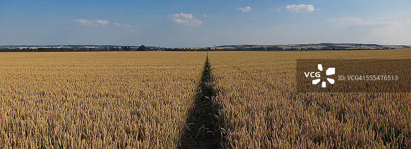穿过田野的道路图片素材