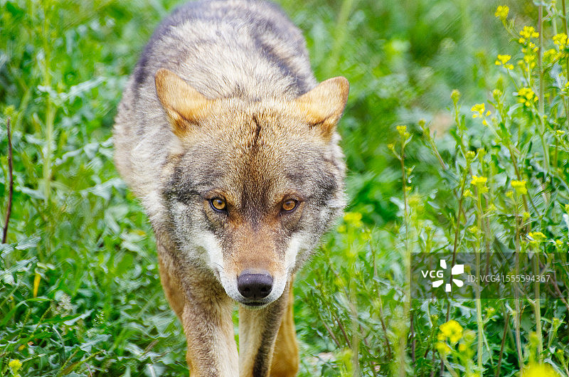 所有这些都深深地印在我的记忆中图片素材