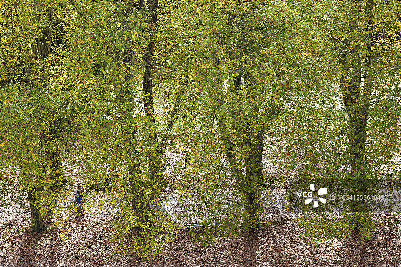 德国巴登-符腾堡州，外观图片素材