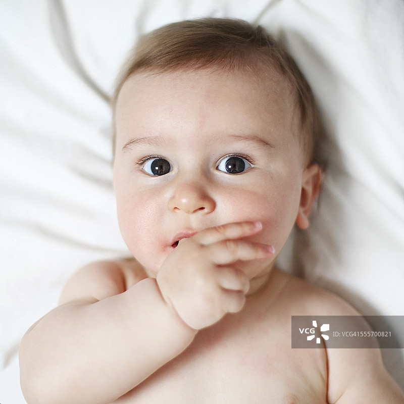 一个8个月大的婴儿吮吸着他的拇指图片素材
