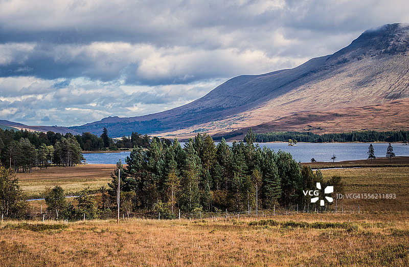 树木、湖泊和山脉图片素材