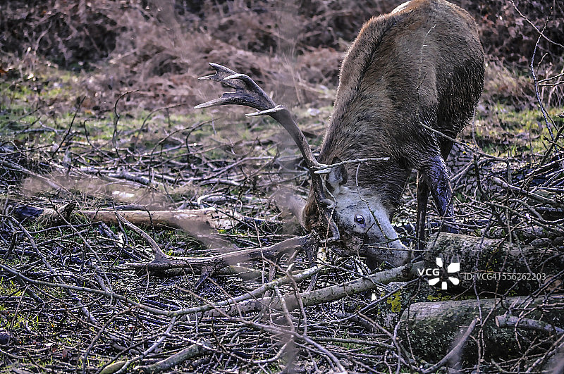 糊你一脸的泥图片素材