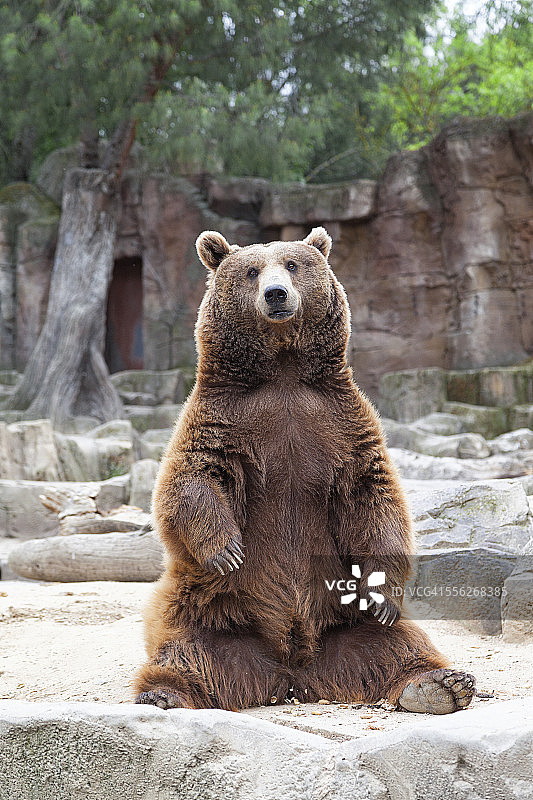 等待食物图片素材