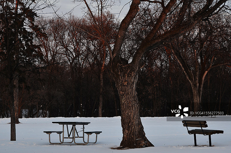 长椅与桌子图片素材