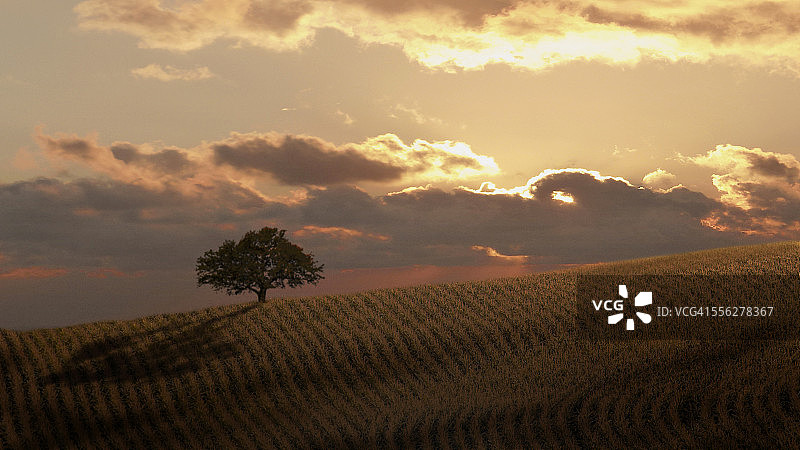 简约……图片素材