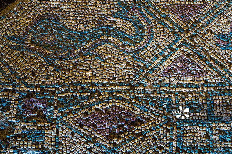 北塞浦路斯索利海豚马赛克图片素材