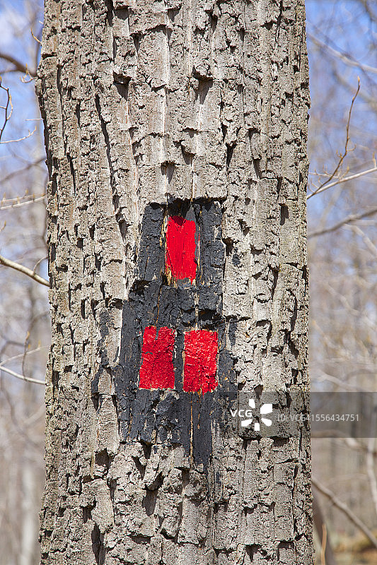 树上的红色步道标记图片素材