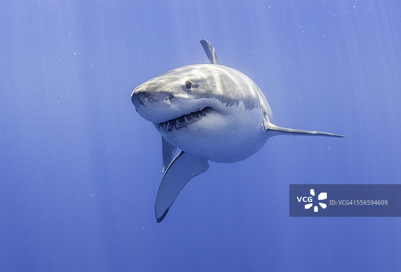 俏皮的视角图片素材