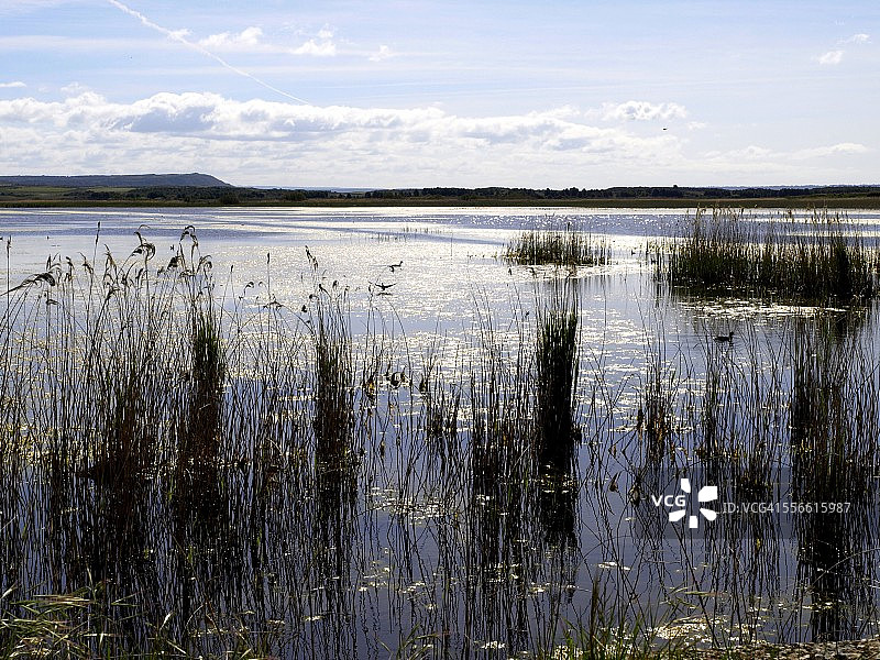 皮蒂利亚斯泻湖图片素材