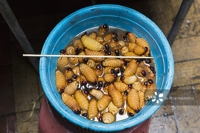 厄瓜多尔奥雷利亚纳港准备烧烤的树干甲虫幼虫图片素材