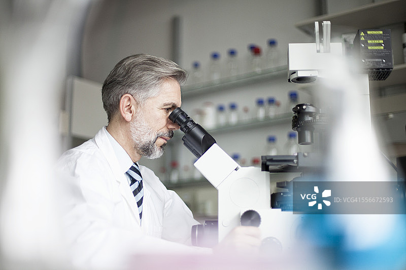 在实验室里用显微镜观察的科学家图片素材