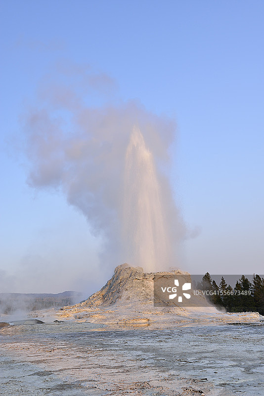 美国怀俄明州黄石国家公园城堡间歇泉喷发图片素材