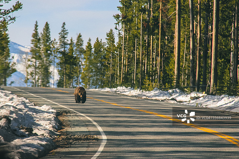 请勿挡道图片素材