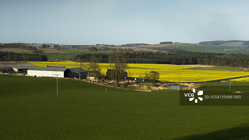 阿伯丁郡的农田图片素材