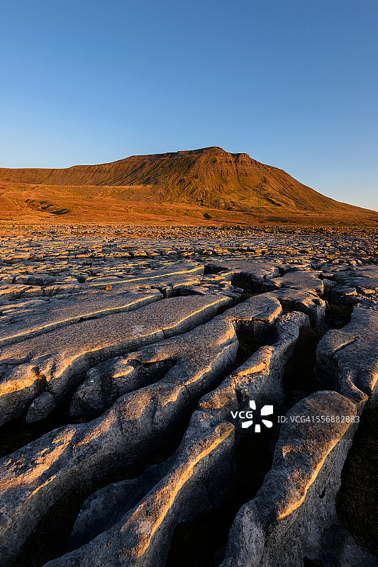 老虎的条纹图片素材