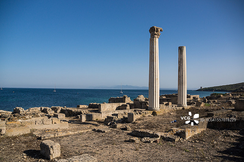 塔罗斯图片素材