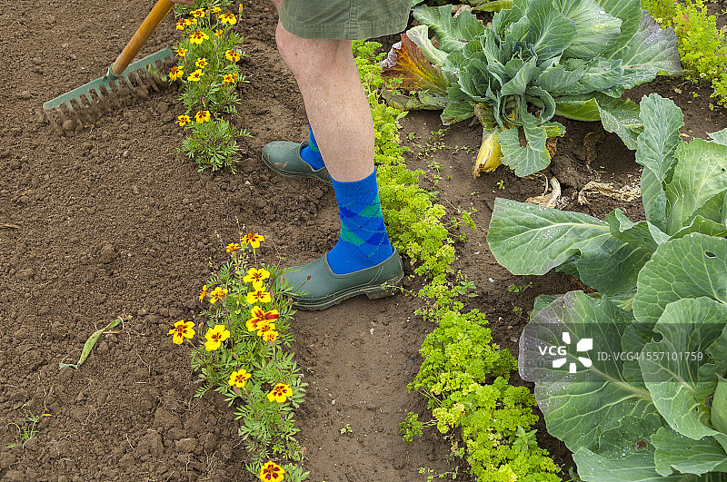 有机农业图片素材