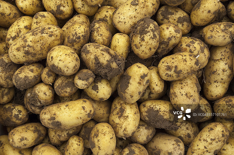 有机农业图片素材