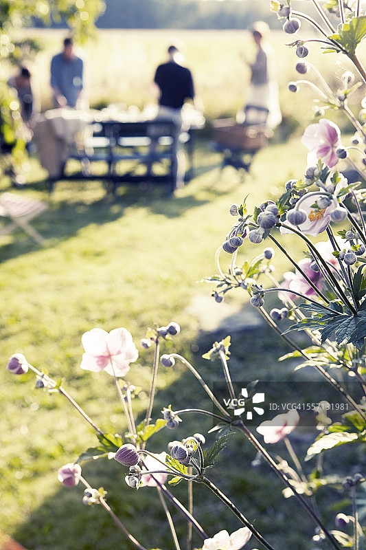 花园里的花朵，背景是人群图片素材