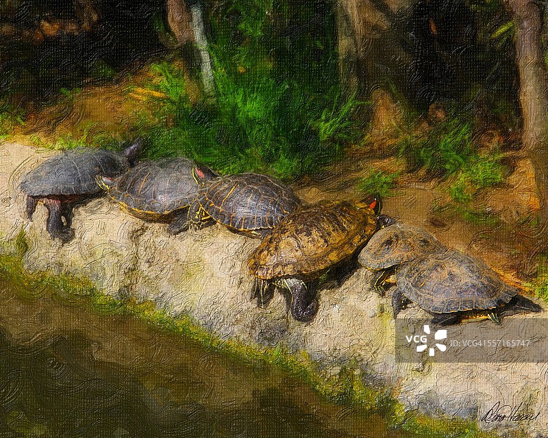 过滤器图片素材