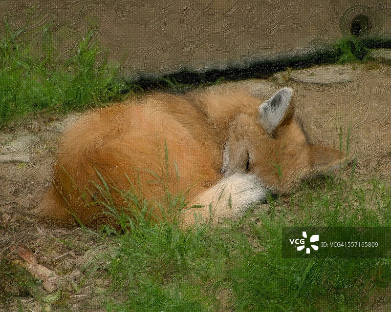 过滤器图片素材