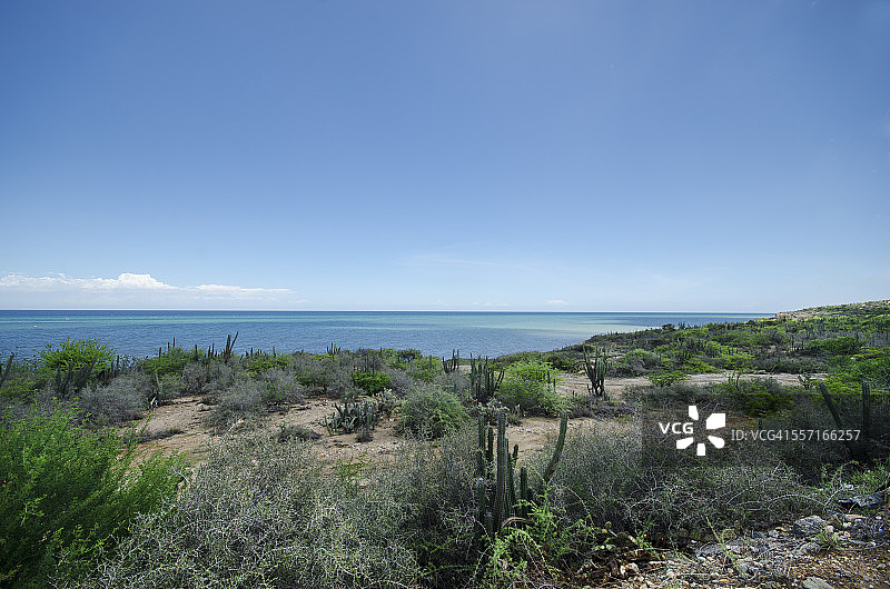史诗般的风景图片素材