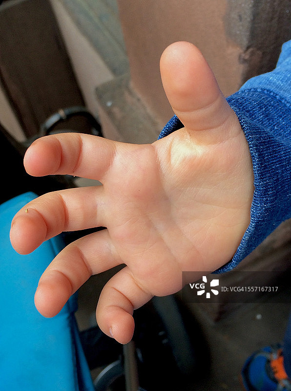 棕榈皱纹图片素材