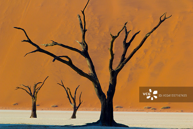 史诗般的风景图片素材