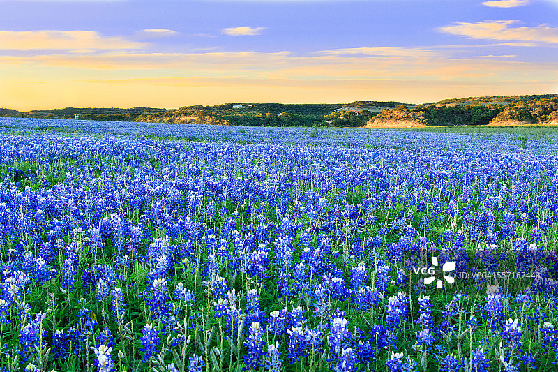 史诗般的风景图片素材