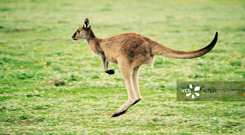 过滤器图片素材