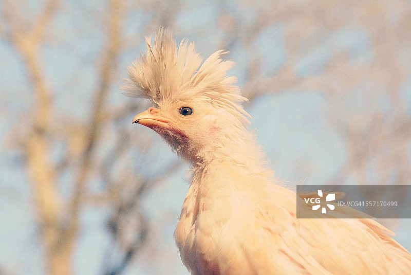 过滤器图片素材
