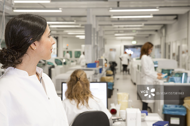 在实验室工作的科学家图片素材