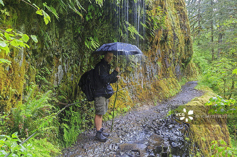 美国俄勒冈州哥伦比亚河峡谷，鹰溪步道，持伞游客图片素材