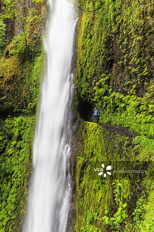 美国俄勒冈州胡德河县哥伦比亚河峡谷雄鹰溪步道，隧道瀑布的女性游客图片素材